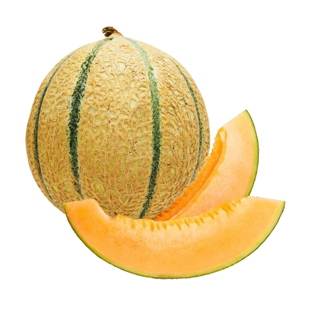 Melón Cantalup