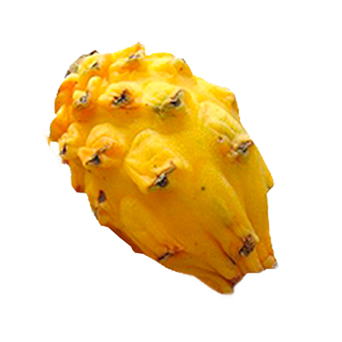 Pitahaya Groga Unitat